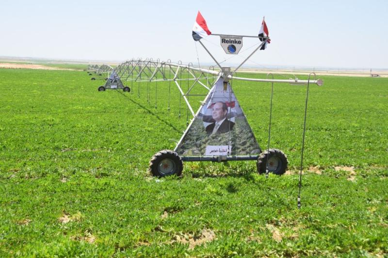 جهاز "مستقبل مصر للتنمية المستدامة"
