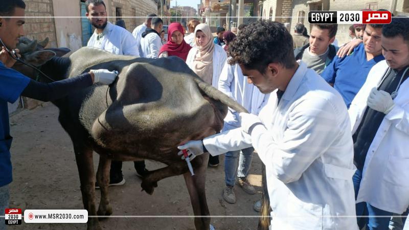 جامعة سوهاج