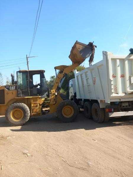 قص وتهذيب الأشجار.. ورفع 125 طن تراكمات ترابية ومخلفات بالزينية بالأقصر