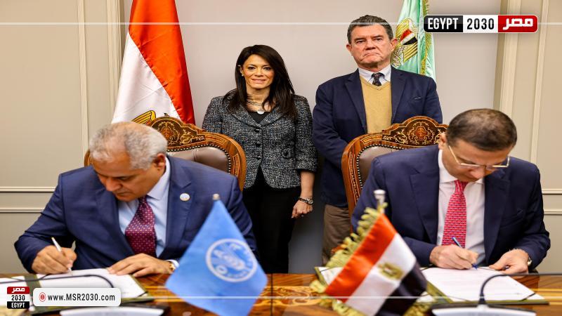 وزيرة التخطيط والتعاون الدولي