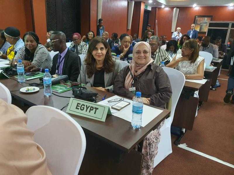 الأمانة العامة للصحة النفسية تستعرض التجربة المصرية في مكافحة الإدمان