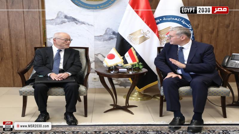 وزير البترول والثروة المعدنية