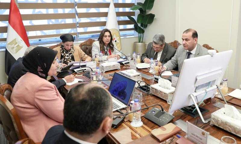 وزيرتا البيئة والتنمية المحلية تتابعان المخطط التنفيذي لتشجير المحاور بمحافظات القاهرة