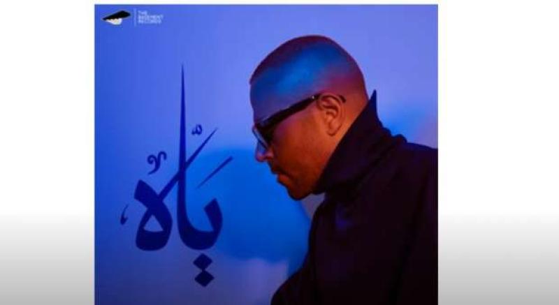 تامر عاشور