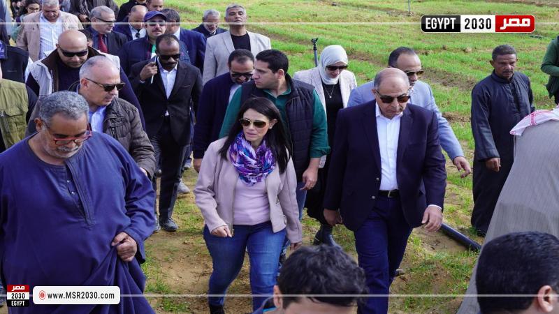 وزيرة التخطيط والتعاون الدولي
