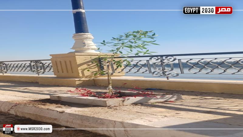 محافظة الأقصر