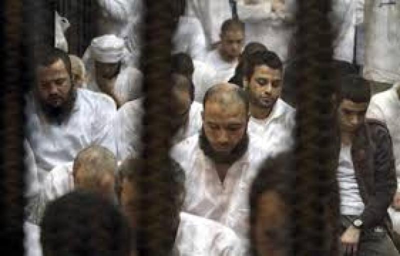 داعش حلوان