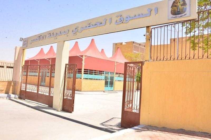 تطوير السوق الحضري... والبدء في إعادة تأهيل موقف الأقاليم.. أبرز إنجازات مدينة الأقصر خلال عام 2024