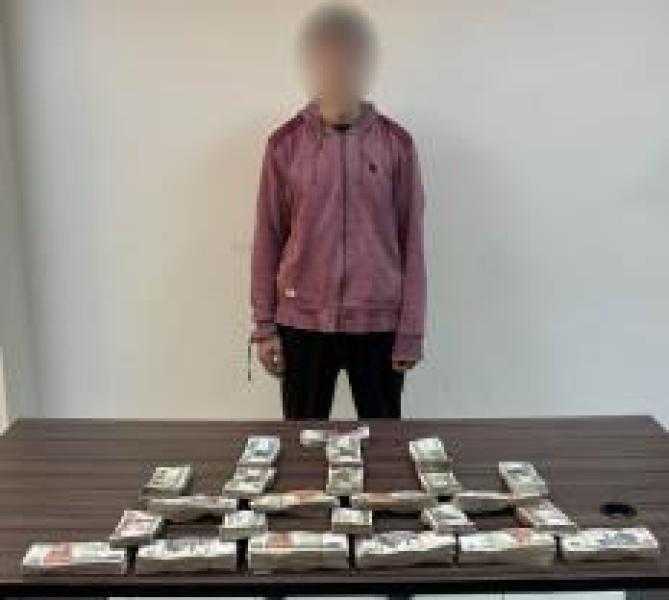 ضبط 14 لصاً لارتكاب جرائم سرقات من مطعم شهير فى الشيخ زايد والمساكن بالصالحية