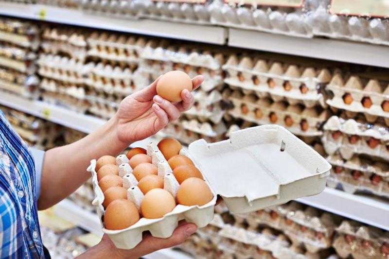 14 مليار بيضة.. مصر تسعى لزيادة إنتاج بيض المائدة بـ100 مليون بيضة سنويًا عبر محطتي طنطا والخانكة