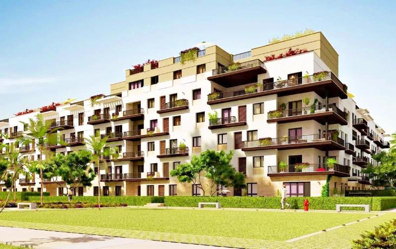 كيفية دفع الزكاة على العقارات المؤجرة؟.. أمين الإفتاء يوضح