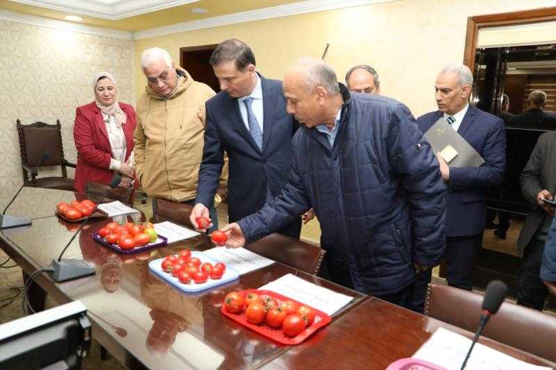 وزارة الزراعة تنجح في استنباط ٨ أصناف جديدة من تقاوي الطماطم