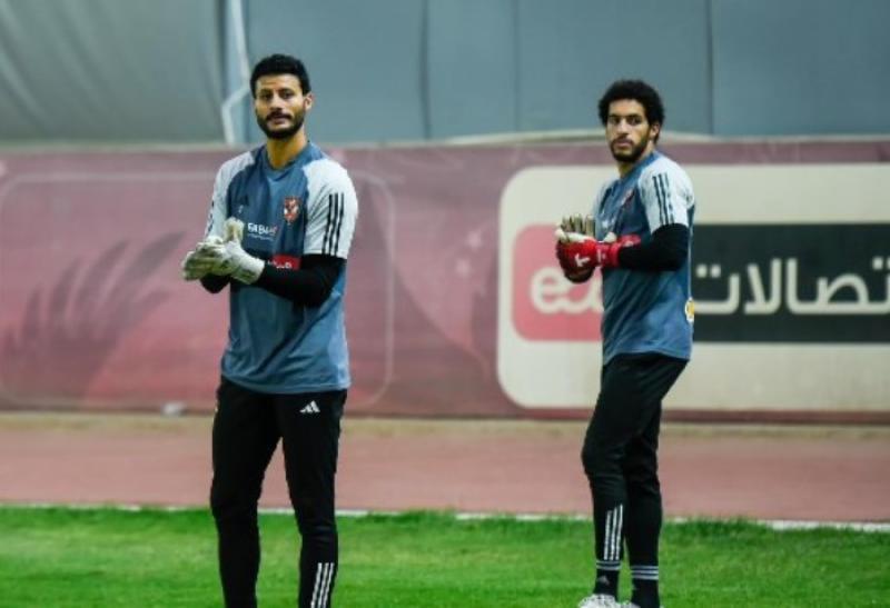 الشناوي 