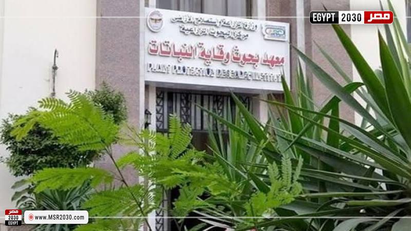 وقاية النباتات