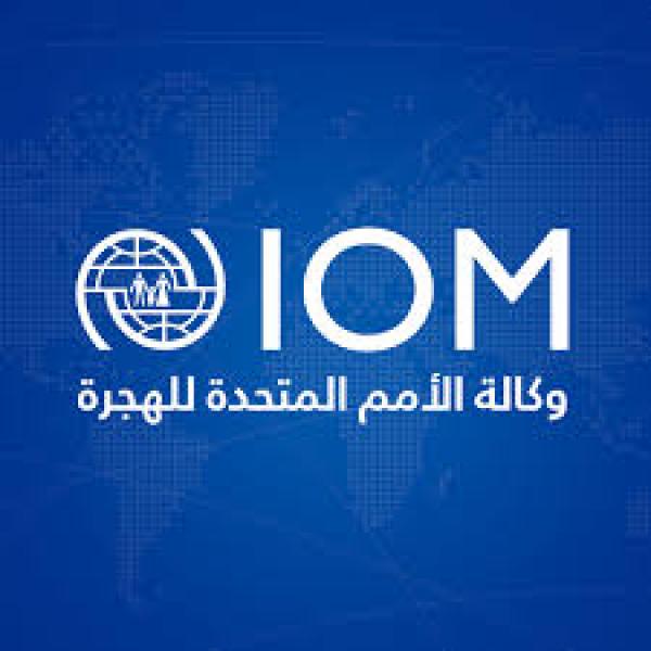الهجرة الدولية