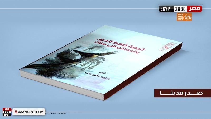 قصور الثقافة