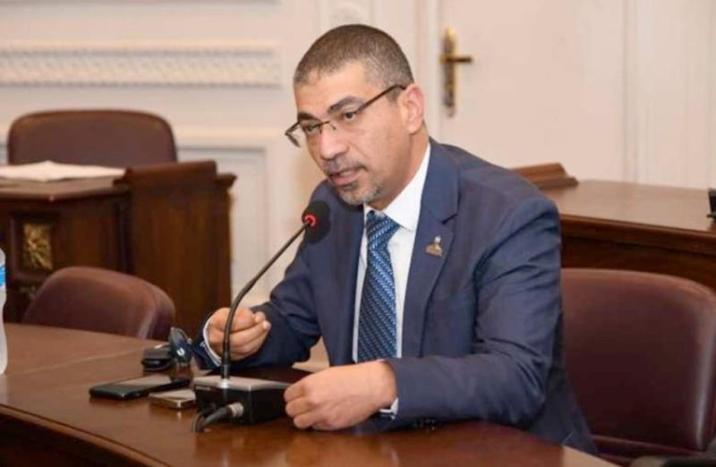 النائب محمد البدري عضو لجنة الصحة بمجلس الشيوخ