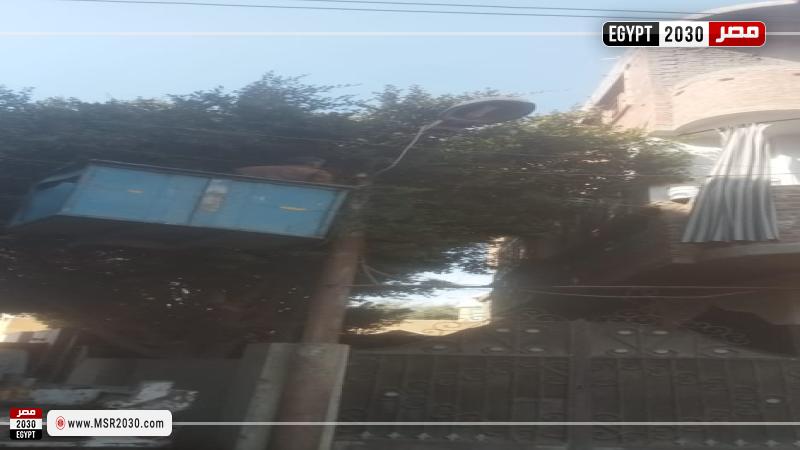 محافظة أسيوط