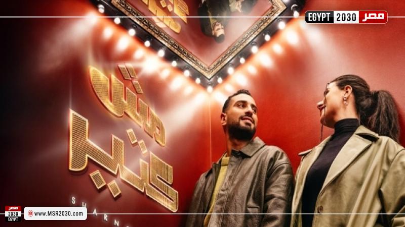 محمد الشرنوبي