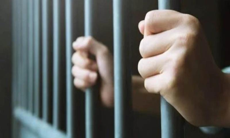 بسبب موبايل.. المشدد 15 سنة لعامل بتهمة قتل وإصابة شخصين بالقليوبية