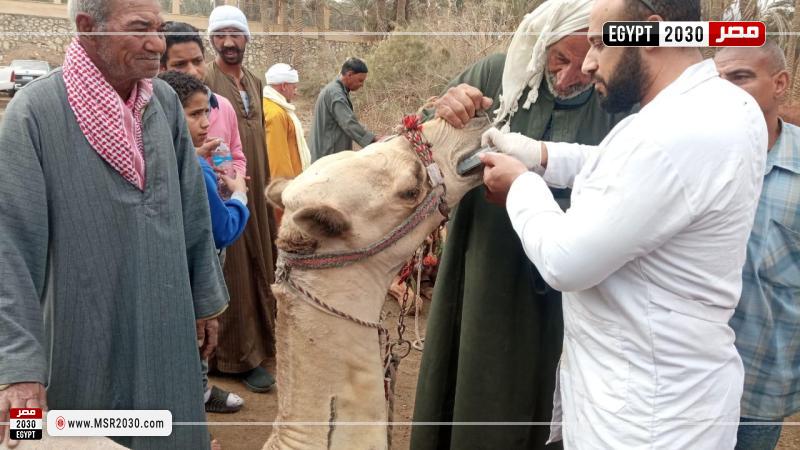 وزارة الزراعة