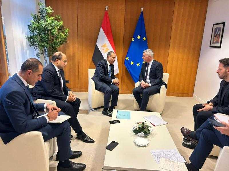 في لقاءات منفصلة.. وزير الخارجية يلتقي مع نواب البرلمان الأوروبي مقرري المجموعات السياسية المختلفة