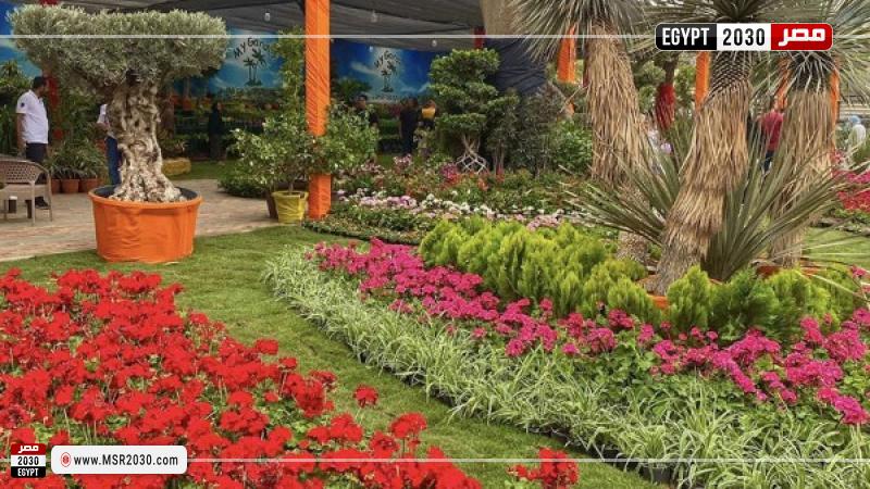 استعدادات الزراعة