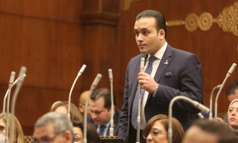  النائب عمرو فهمي عضو مجلس الشيوخ