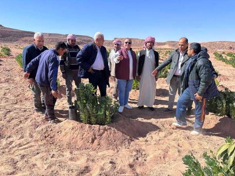 تعزيز التعاون بين بحوث الصحراء والمركز العربي لدراسات المناطق الجافة والأراضي القاحلة لتنمية جنوب سيناء