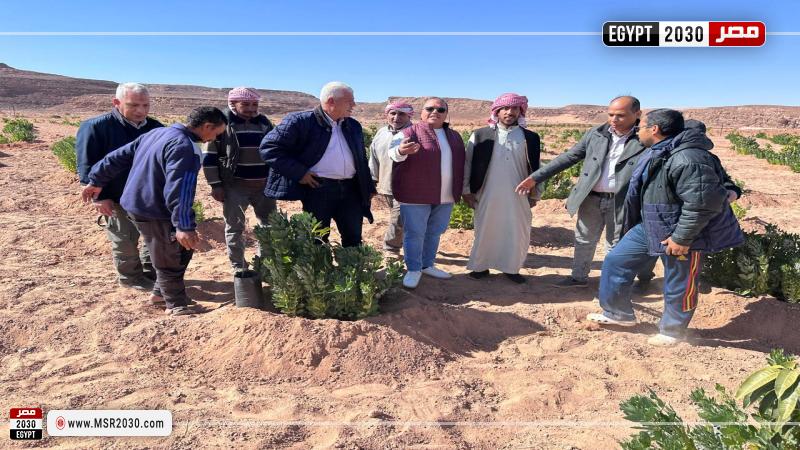 وزارة الزراعة