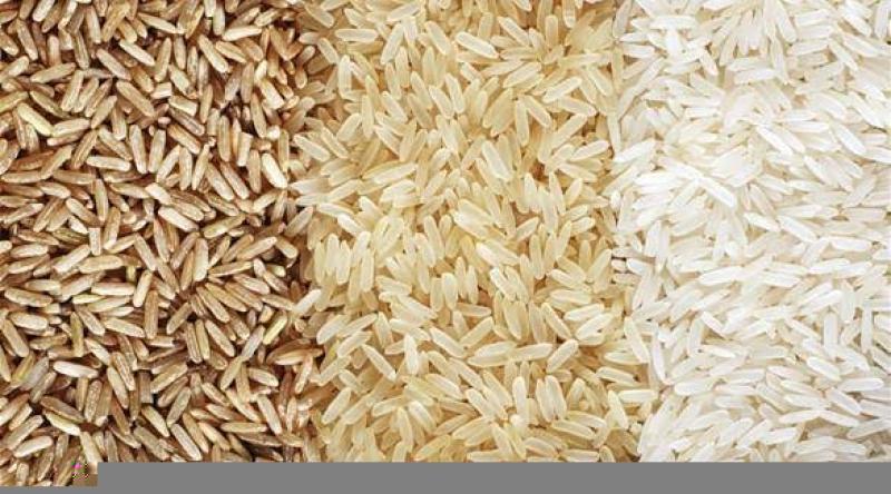 سعر الأرز الشعير اليوم