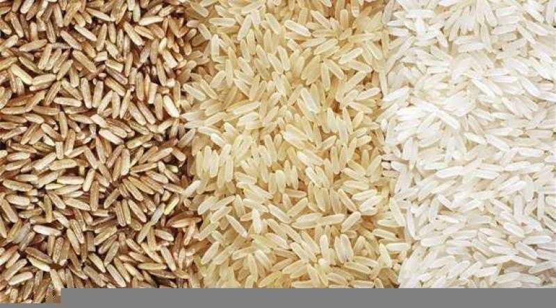 سعر الأرز الشعير اليوم الأربعاء عند التاجر.. الطن وصل لكام