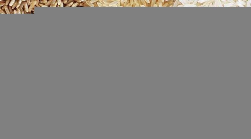 سعر الأرز الشعير اليوم