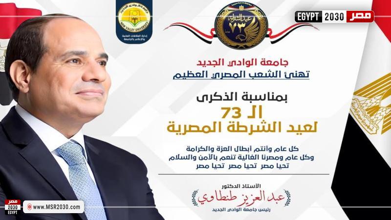 جامعة الوادى الجديد