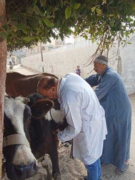 كلية طب بيطري الزقازيق توجه قافلة مجانية لقرية السعدية مركز  أبو حماد  بالشرقية