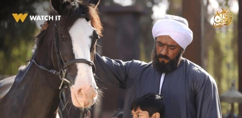 أحمد العوضي