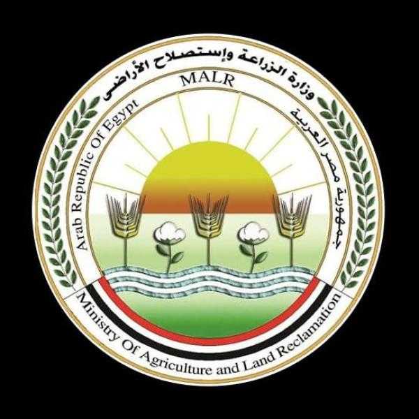 الزراعة: فتح باب استيراد كتاكيت التسمين والبياض والبيض المخصب كمدخلات إنتاج وبيض المائدة لضبط الأسعار