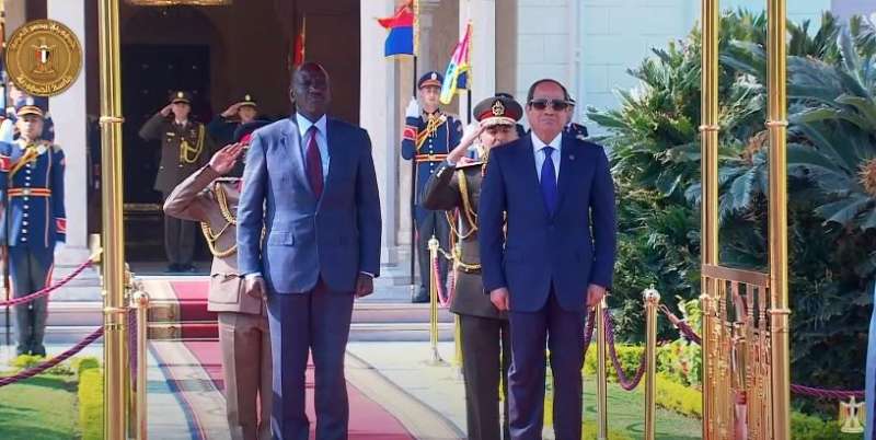 جانب من الاستقبال