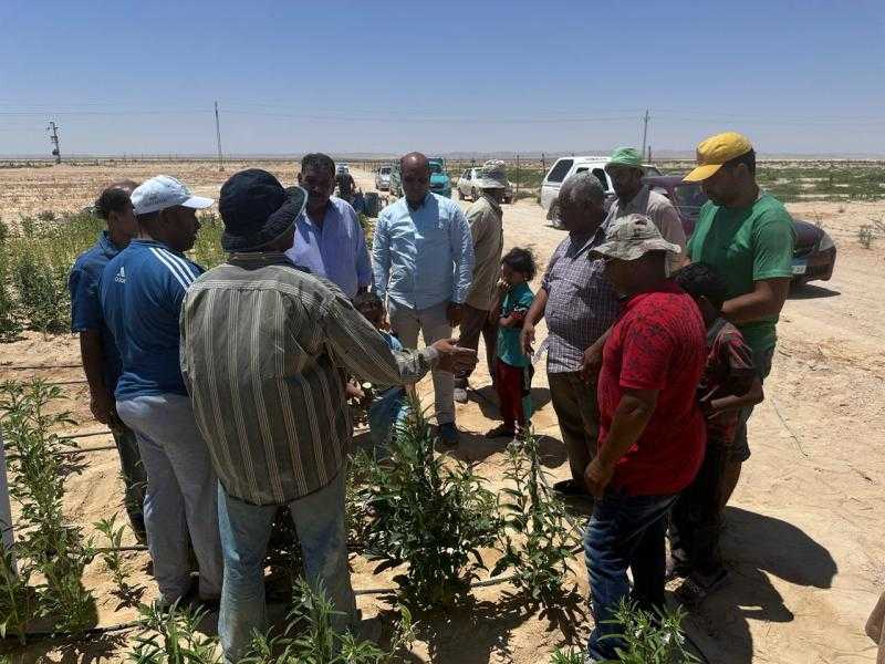 ‏فرق بحثية من مركز بحوث الصحراء تقدم الدعم الفني والإرشادي للمزارعين في سيناء