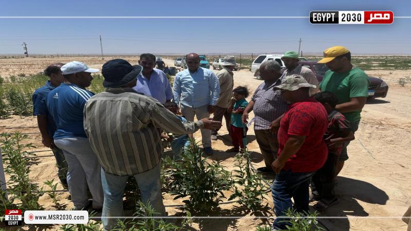 وزارة الزراعة