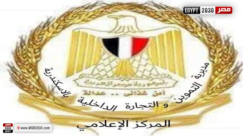 تموين الاسكندرية
