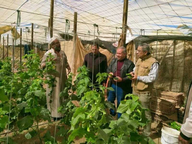 بحوث الصحراء يعزز جهود تطوير الزراعة في سيوة لمواجهة التحديات البيئية وتحقيق الاستدامة
