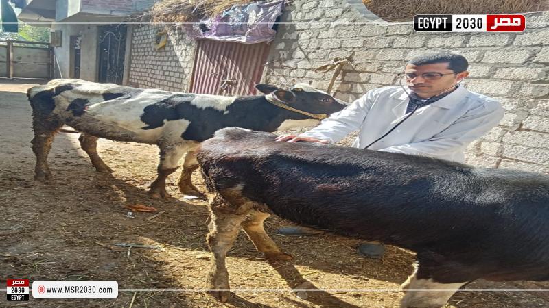 كلية الطب البيطرى بجامعة الزقازيق