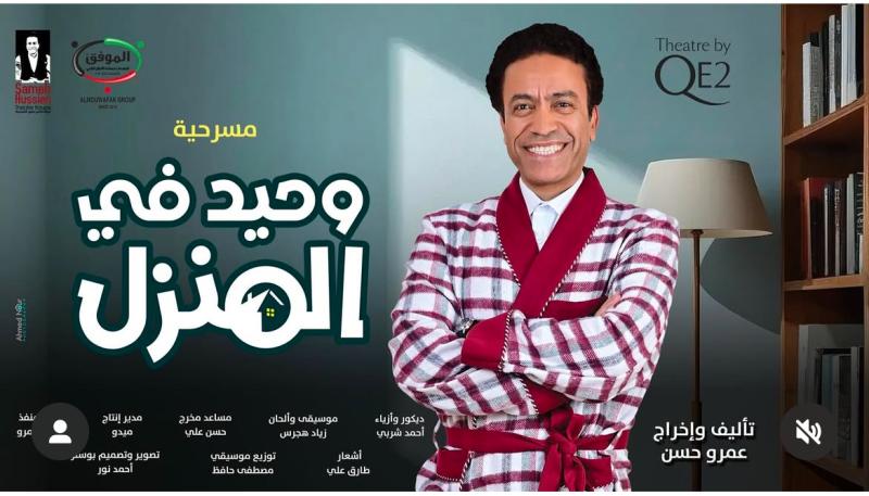 وحيد في المنزل 