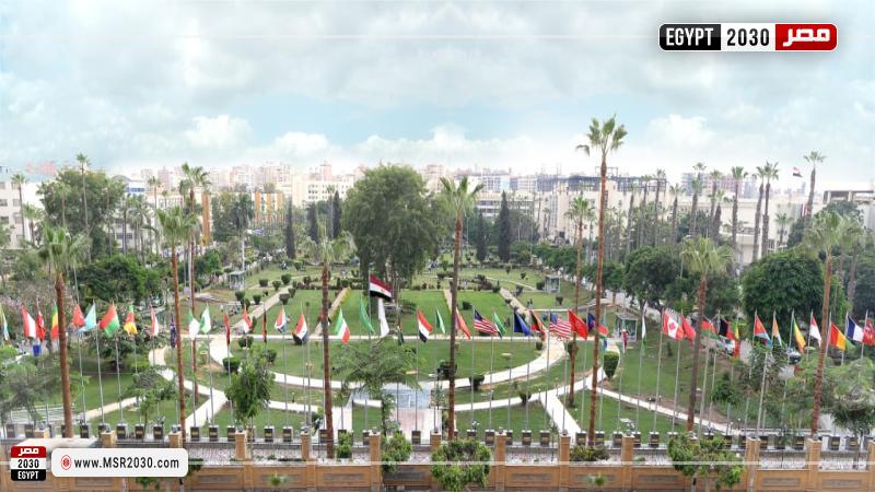 جامعة المنصورة