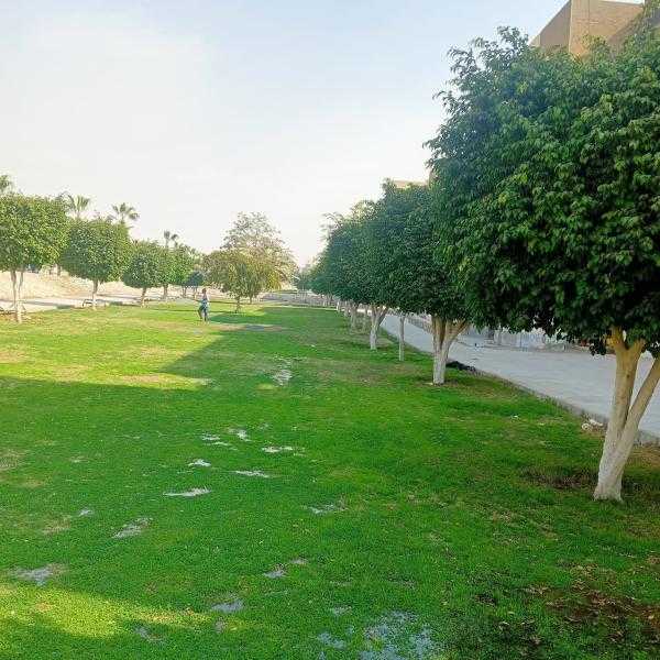 استمرار أعمال تطوير المسطحات الخضراء بمدينة 15 مايو