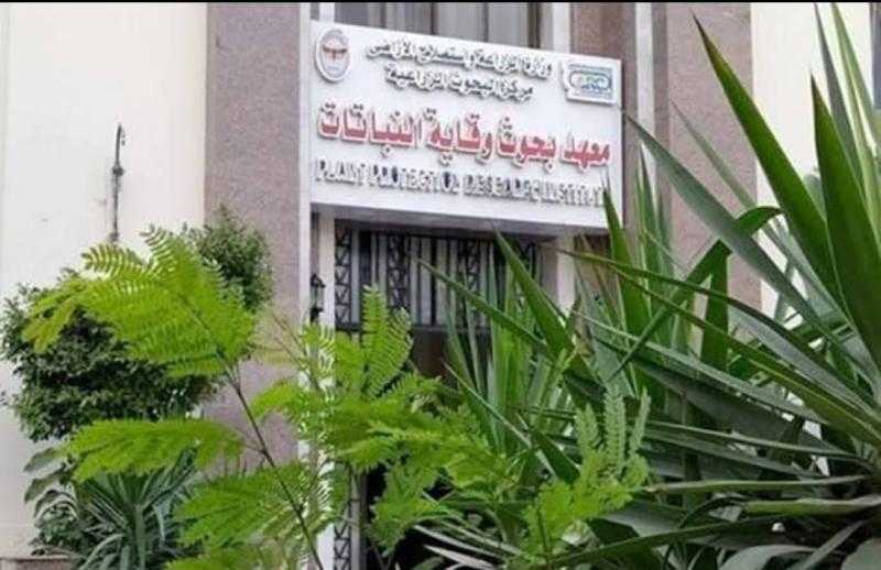 الزراعة: وقاية النباتات ينفذ برنامجا تدريبيا عن الإدارة المتكاملة لآفات النباتات الطبية والعطرية