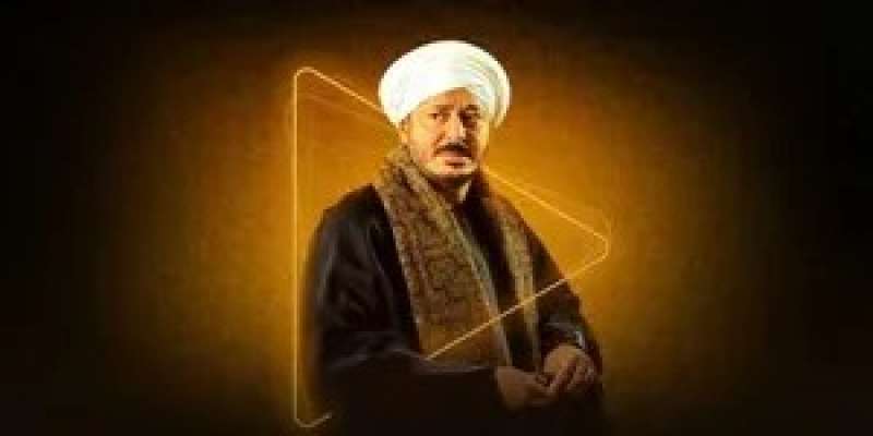 مسلسل حكيم باشا