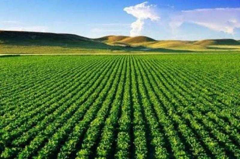 الزراعة تكشف عن خطة الوزارة بشأن التحول الرقمي لتعزيز الإنتاج المحلي