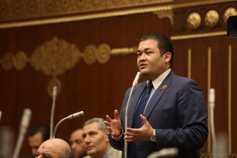 النائب محمد عمارة عضو مجلس الشيوخ